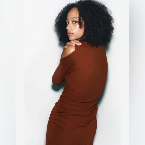 Zara Brown Cutout Ruched Dress Size M - Picture 3 of 4